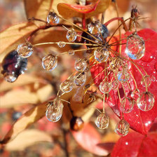 Схема вышивки «стекляшки»