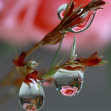 Схема вышивки «капельки»