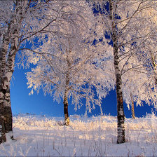 Схема вышивки «зима»