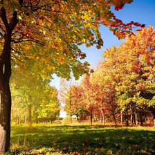 Схема вышивки «Осень»