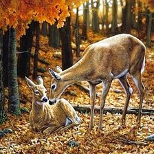 Схема вышивки «№202362»