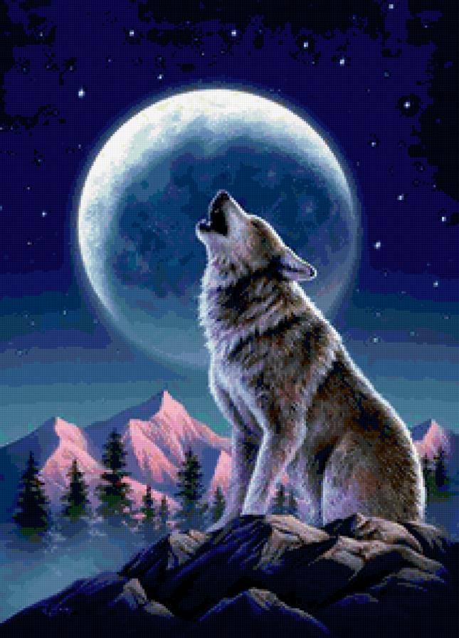 №202369 - предпросмотр