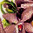 Предпросмотр схемы вышивки «№202417»