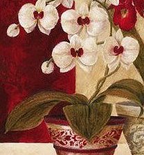 Схема вышивки «№202821»