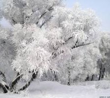 Схема вышивки «зима»