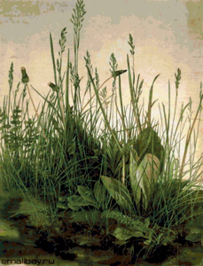 Альбрехт Дюрер.Куст травы. - пейзаж, растения, природа, цветы. - предпросмотр