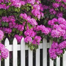 Схема вышивки «987675342»