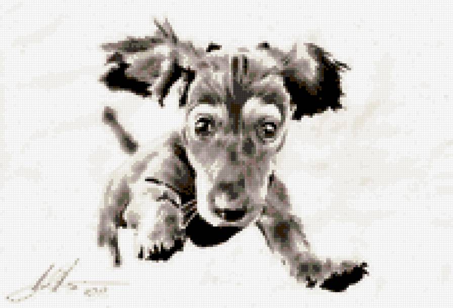 собачка - щенки, животные.собаки - предпросмотр