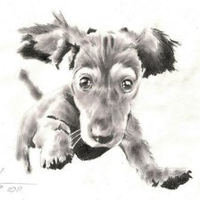 Схема вышивки «собачка»