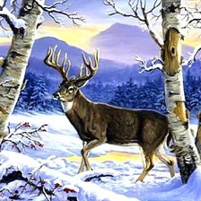 Схема вышивки «Олень»