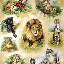 Семейство хищников