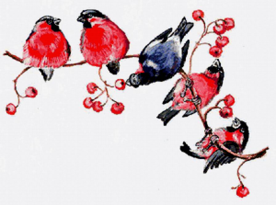Снегири - ягодки, природа, ягодка, ветка, птицы, снегирь, рябина, снегири - предпросмотр