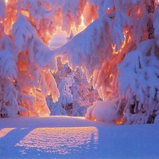 Схема вышивки «№203538»