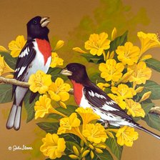 Схема вышивки «Серия : Птицы»