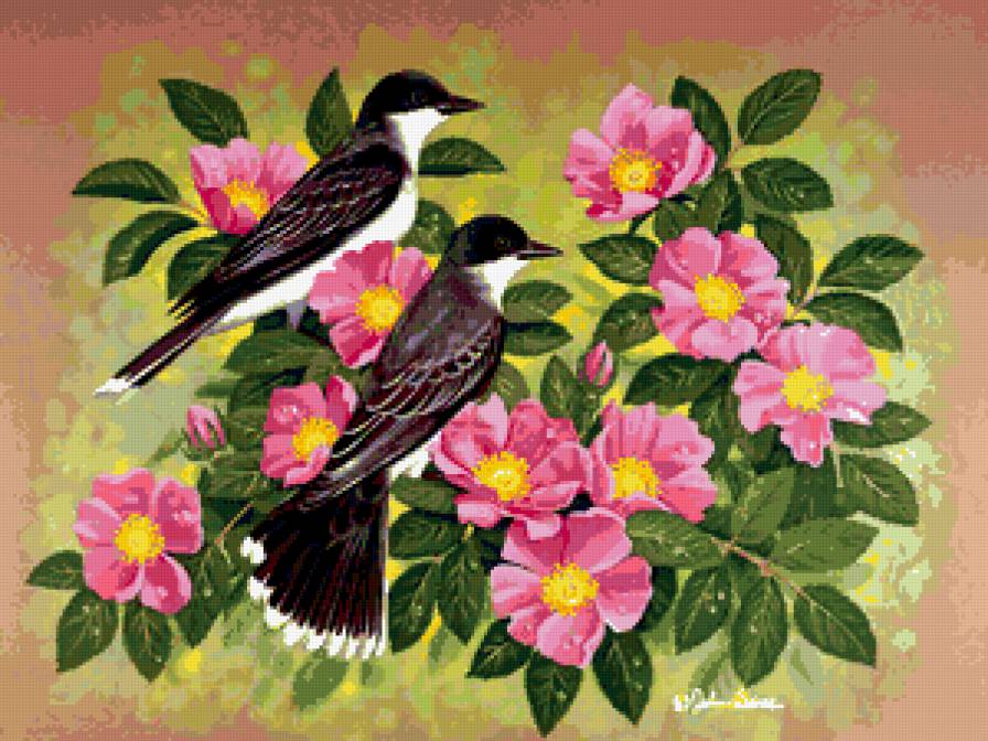 Серия : Птицы - предпросмотр