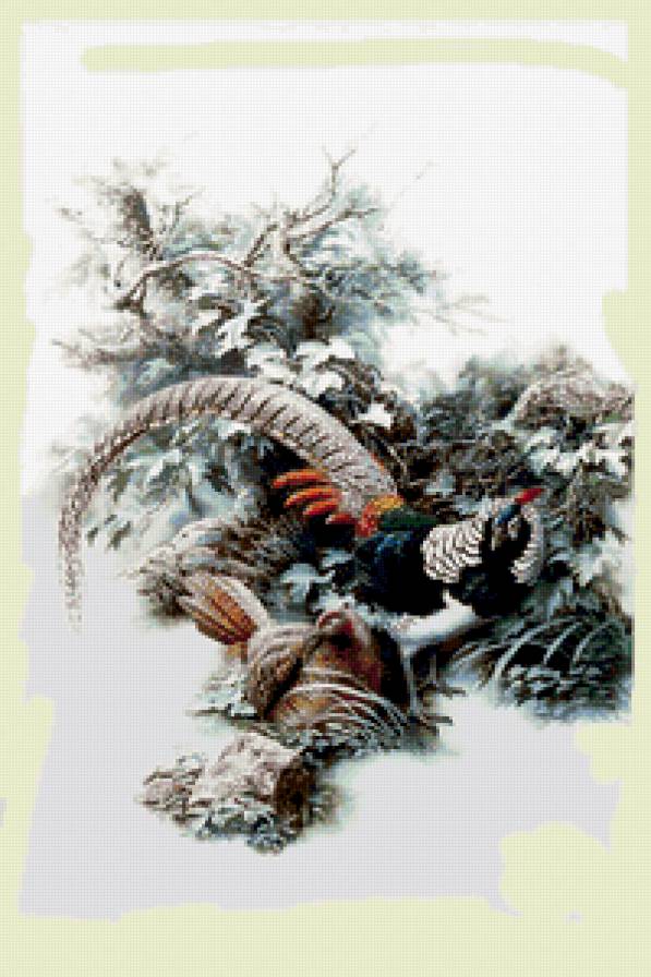 Серия : Птицы - предпросмотр