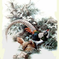 Серия : Птицы