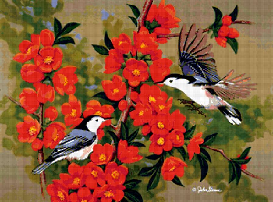 Серия : Птицы - предпросмотр