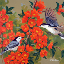 Схема вышивки «Серия : Птицы»