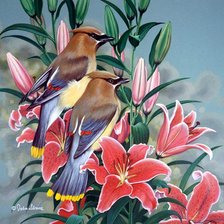 Серия : Птицы