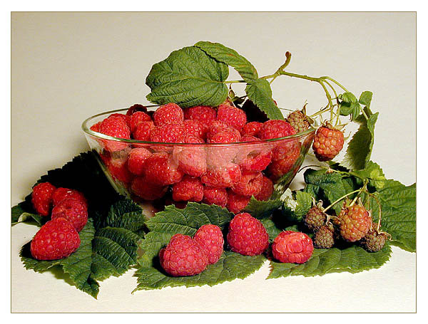 Ягода  малина - оригинал