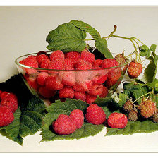 Ягода  малина