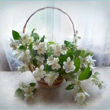 Схема вышивки «Жасмин»