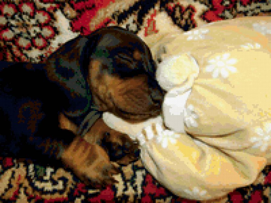 Джек - домашнее животное, собака, такса, мило, щенки - предпросмотр