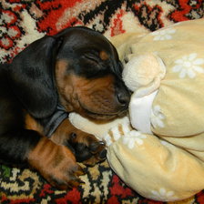 Схема вышивки «Джек»