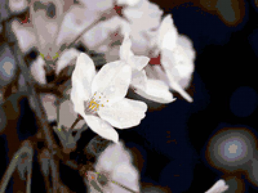 цвет вишни - цветы природа - предпросмотр