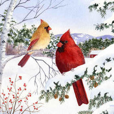 Схема вышивки «птицы»