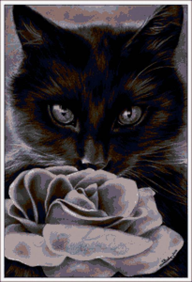 кошка - коты, цветы, кошечка, животные, розы, роза, кошки, черно-белое - предпросмотр