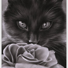 Схема вышивки «кошка»