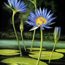 Схема вышивки «Лотосы»