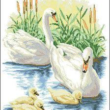 Схема вышивки «ЛЕБЕДИ»