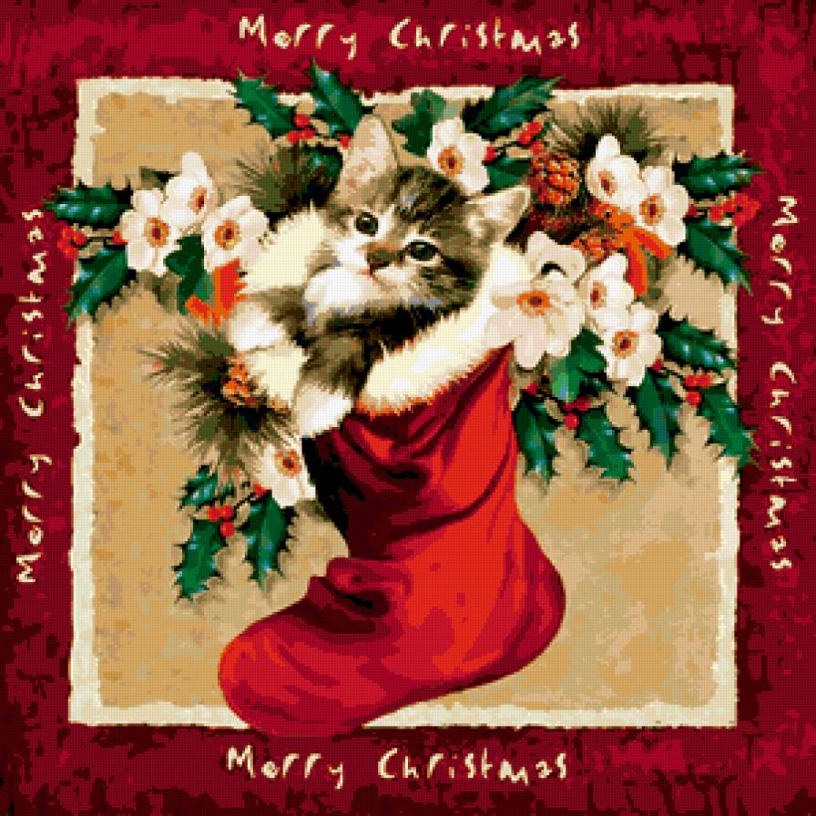 котенок - котик, кошки, рождество, новый год, животные, зима, кошка - предпросмотр