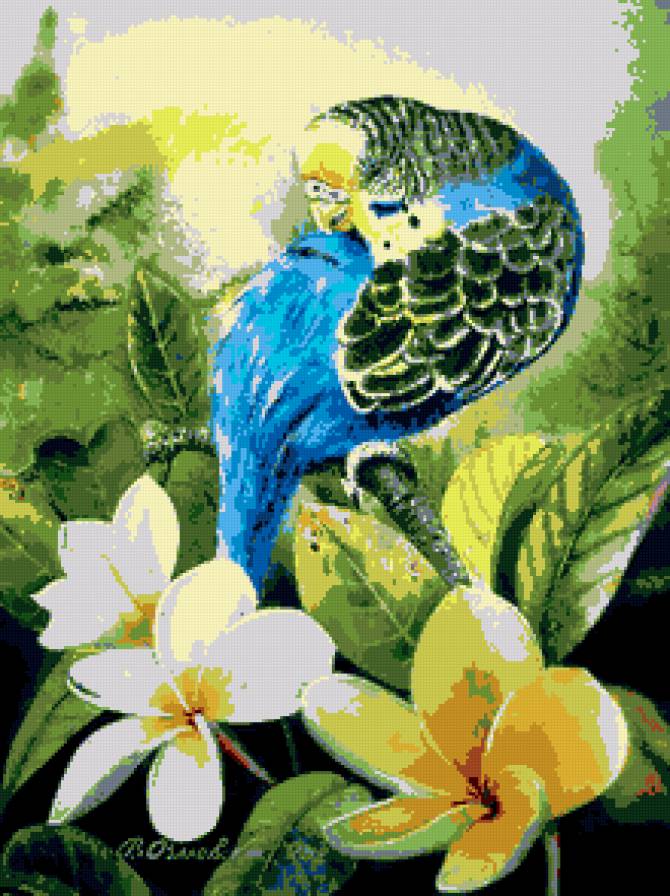 попугай - цветы, ветка, попугай - предпросмотр