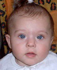 Схема вышивки «№204166»