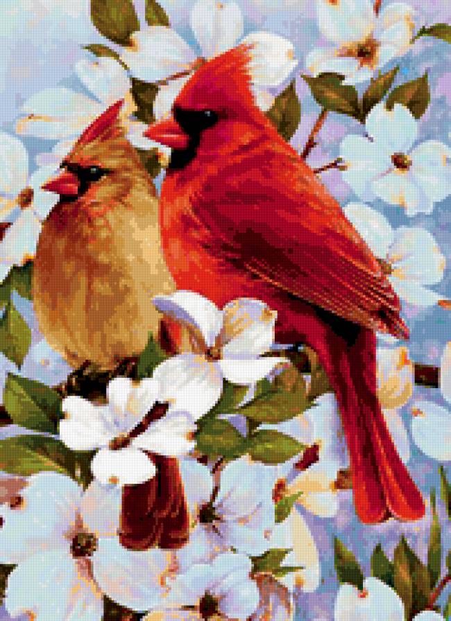 птицы - птицы, весна, природа, картина - предпросмотр