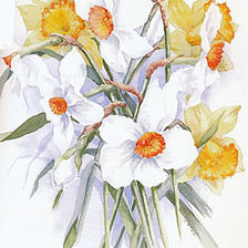 Схема вышивки «Нежные нарциссы»