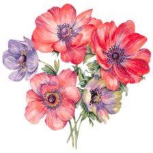 Схема вышивки «№204345»