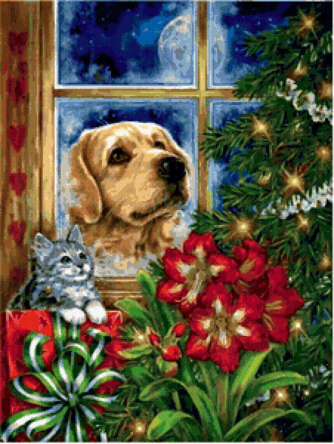 животные - собака, собачка, котик, котики, песик, собаки, кошка, коты, зима, кошки - предпросмотр