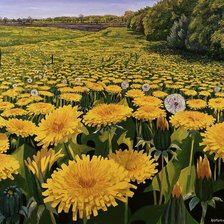 Схема вышивки «№204374»