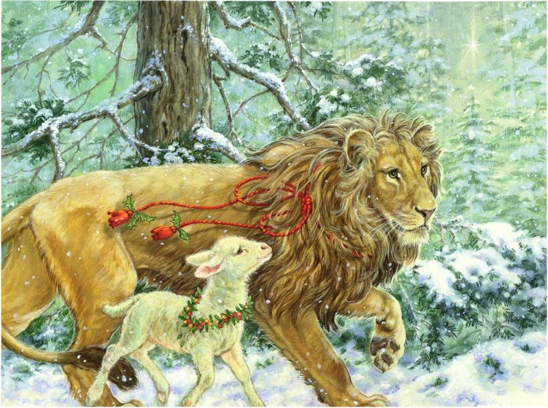 животные - рождество, барашек, овечка, лев, хищники, зима, кошки, львы - оригинал