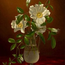 Схема вышивки «№204540»