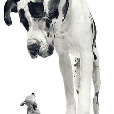 большой и маленький