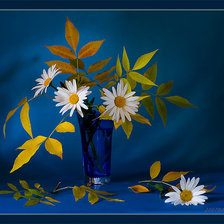 Схема вышивки «ромашки в стакане»