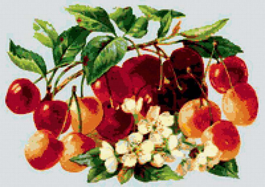 ветка - фрукты, овощи - предпросмотр