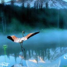 Схема вышивки «отражение»