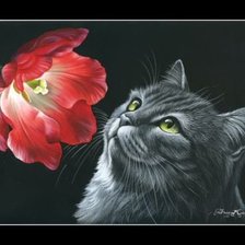 Схема вышивки «кот»